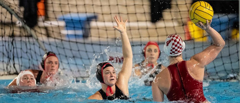 Die Wasserballerinnen spielen jetzt auch in der Donau League.