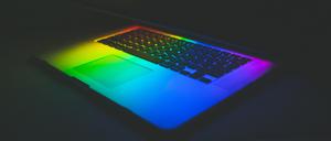 Programmieren gilt als weiß, männlich, zugangsbeschränkt. Queere Leute eignen sich Computerfähigkeiten an und wollen mitsprechen.