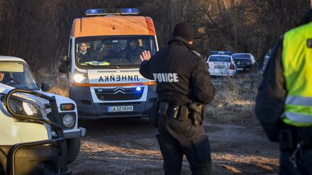 Der Polizei zufolge transportierte der Lastwagen 52 Flüchtlinge, die sich unter Holzstapeln versteckten. 