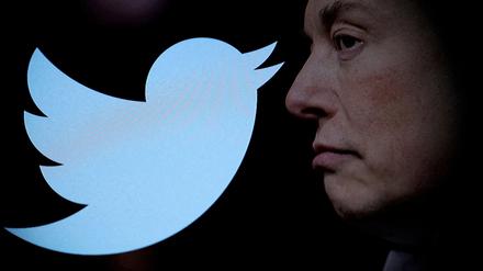 Seit Tech-Milliardär Elon Musk Twitter gekauft hat, kommt es regelmäßig zu Neuerungen auf der Plattform. 