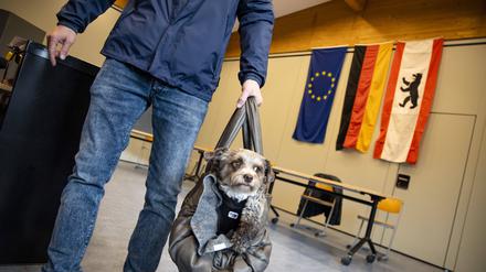 Am 11. Februar wird in Berlin die Bundestagswahl teilweise wiederholt.