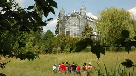 Das Mittelmeerhaus im Botanischen Garten Berlin wird demnächst umfassend saniert.