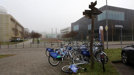 Auf dem Campus in Golm kommt es seit einiger Zeit wiederholt zu Vandalismus und körperlicher Gewalt durch eine Gruppe Jugendlicher.