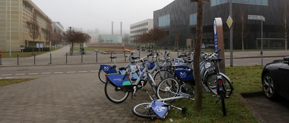 Auf dem Campus in Golm kommt es seit einiger Zeit wiederholt zu Vandalismus und körperlicher Gewalt durch eine Gruppe Jugendlicher.