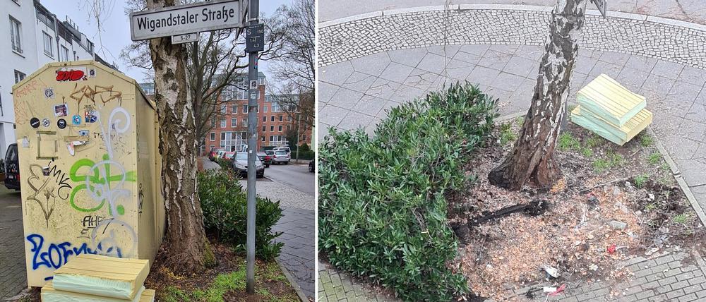 Die Birke in Weißensee - mit und seit neuestem ohne Container.
