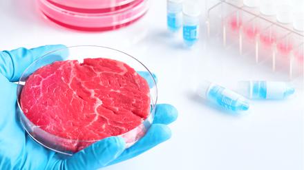 An strukturiertem Fleisch aus dem Nährmedium wird gearbeitet, Prototypen gibt es bereits. (Symbolbild)
