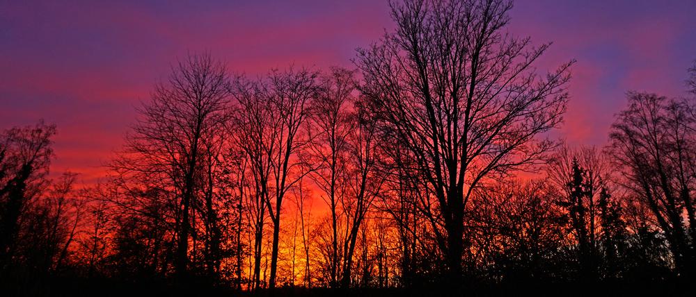 Die Aerosole im Saharastaub führen beim Sonnenuntergang zu einer besonders intensiven Färbung des Himmels (Archivbild). 
