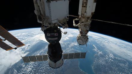 Die Tomaten waren an Bord der ISS über mehrere Monate gezüchtet worden.