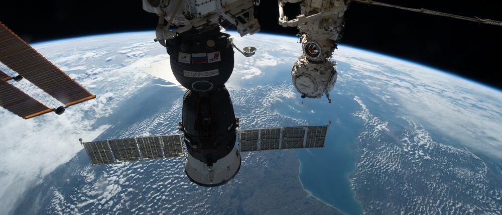 Die Tomaten waren an Bord der ISS über mehrere Monate gezüchtet worden.