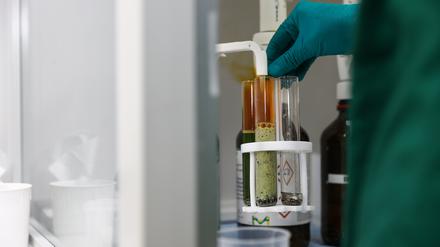 PFAS werden verdächtigt, die Fruchtbarkeit zu beeinträchtigen, Krebs zu verursachen, das Immunsystem zu schwächen und zu Entwicklungsverzögerungen bei Kindern zu führen.