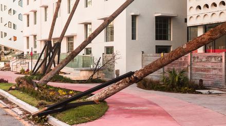 Anastasia Samoylova, „Pink Sidewalk“ aus der Serie FloodZone.