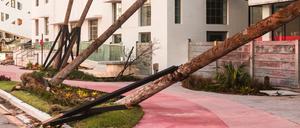 Anastasia Samoylova, „Pink Sidewalk“ aus der Serie FloodZone.