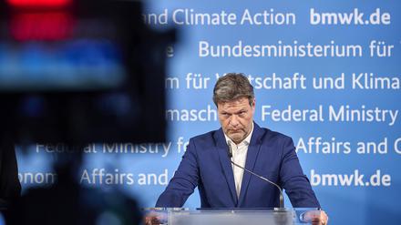 Auch Bundeswirtschaftsminister Habeck will die Umgehung von Russland-Sanktionen erschweren.