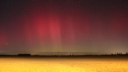 Polarlichter leuchten über Brandenburg auf dieser Nachtaufnahme mit Langzeitbelichtung. 