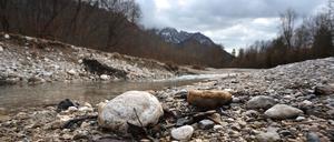 Nur wenig Wasser führt aktuell der Gebirgsbach Pöllat im bayrischen Ostallgäu. Angesichts der vielerorts geringen Schneedecke in den Alpen und des regenarmen Februars droht laut Experten massive Trockenheit.