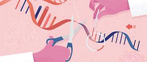 Mit dem CRISPR-Verfahren lassen sich defekte Gene herausschneiden und diese durch andere ersetzen.