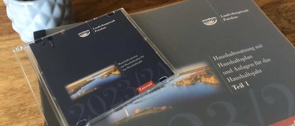 So sieht der Potsdamer Haushalt in Papierform aus. Das Planwerk ist aber auch als CD erhältlich.