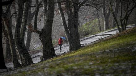 Schaurig schön. Eine Spaziergängerin bei Hagel und Sonnenschein im Volkspark Wilmersdorf.