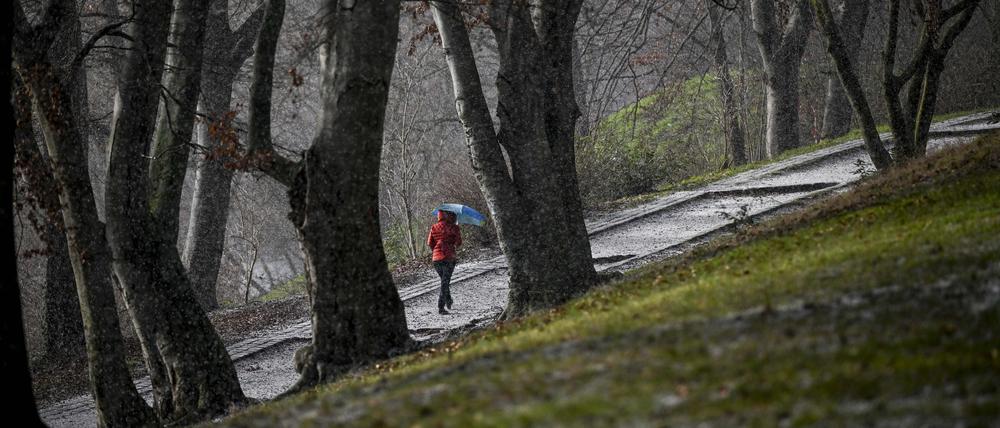 Schaurig schön. Eine Spaziergängerin bei Hagel und Sonnenschein im Volkspark Wilmersdorf.