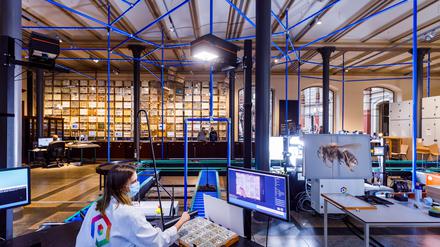 Weltweit einmaliges Pilotprojekt: die Digitalisierungsstraße im Naturkundemuseum Berlin.