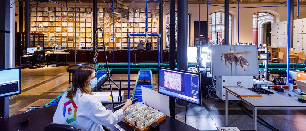 Weltweit einmaliges Pilotprojekt: die Digitalisierungsstraße im Naturkundemuseum Berlin.
