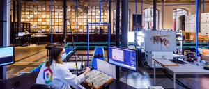 Weltweit einmaliges Pilotprojekt: die Digitalisierungsstraße im Naturkundemuseum Berlin.