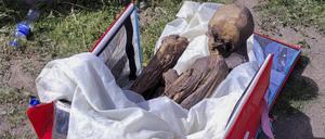 Dieses am 25. Februar 2023 von Puno TV veröffentlichte Bild zeigt eine Mumie, die in einer Kühlbox eines Lieferdienstes in Puno, Peru, gefunden wurde. 