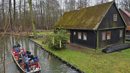 Damit der Spreewald nicht austrocknet. Grüne fordern Stiftung zur Renaturierung und einen Wasser-Masterplan. 