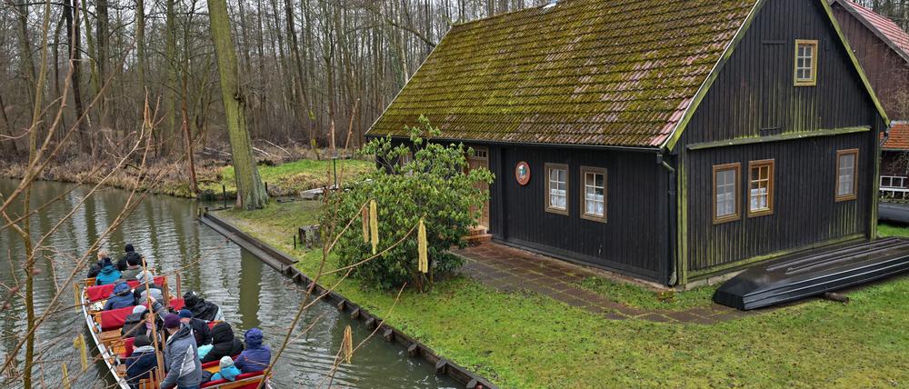Damit der Spreewald nicht austrocknet. Grüne fordern Stiftung zur Renaturierung und einen Wasser-Masterplan.