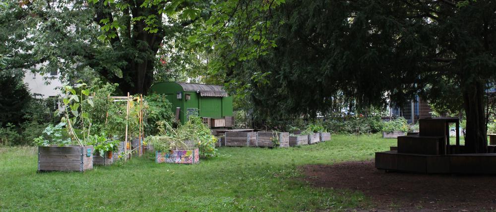Zu sehen ist die Umweltbildungswiese, wo auch der angekündigte Workshop stattfinden wird.