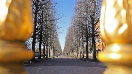 Noch ist der Park Sanssouci kostenlos zugänglich.