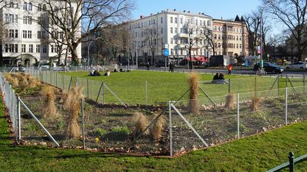 Beete eingezäunt am Savignyplatz in Berlin-Charlottenburg.