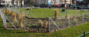 Beete eingezäunt am Savignyplatz in Berlin-Charlottenburg.