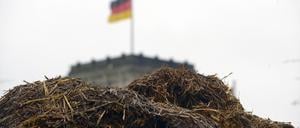 Ab Mitte März ist eine „Geruchsbelästigung“ in Berlin zu erwarten – also, eine mehr.