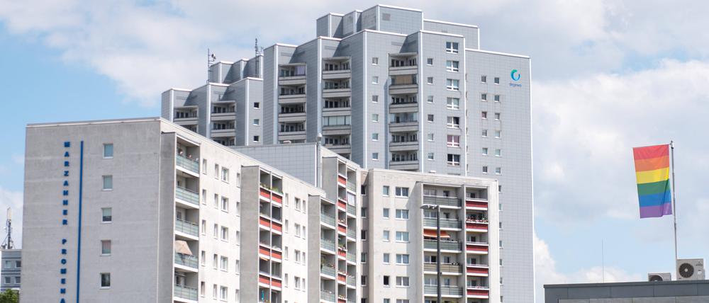 Regenbogenfahne. Marzahn-Hellersdorf ist queerer als gedacht.