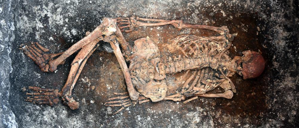 Dieser Reiter wurde vor rund 5000 Jahren im heutigen Bulgarien bestattet.