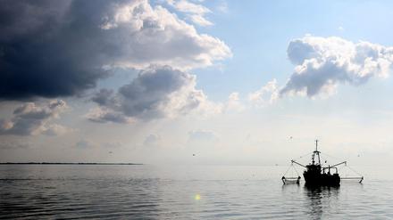 Ein Krabbenkutter fährt am 17.09.2008 unter herannahenden Wolken vor dem schleswig-holsteinischen Büsum über die Nordsee.