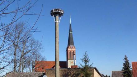 Storchenhorst in Potsdam Bornim