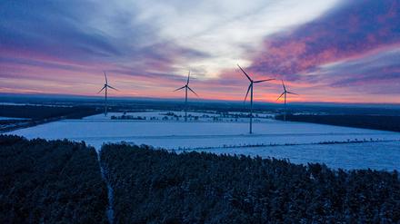 Diese Windräder bei Sputendorf in Brandenburg wurden für die Berliner Stadtwerke auf einer Fläche der Stadtgüter errichtet.