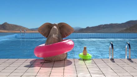 Elefanten gelten als trampelig, sind aber tatsächlich geschickte und noch dazu einfühlsame Herdentiere.