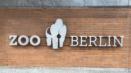 Berliner Zoo *** Berlin Zoo Copyright: xmix1pressx