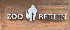 Berliner Zoo *** Berlin Zoo Copyright: xmix1pressx
