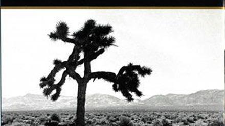 Cover der Rückseite des Albums „Joshua Tree“ von U2