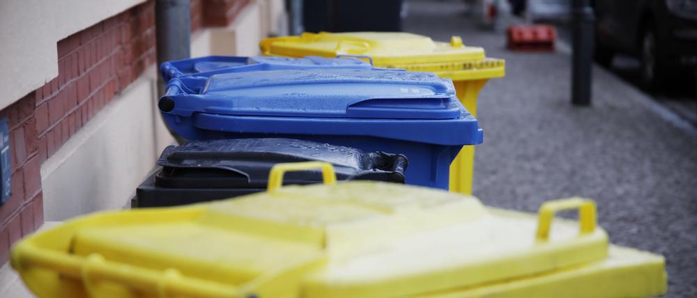 Die Mülltrennung in der Langhansstraße ist buchstäblich für die Tonne. 