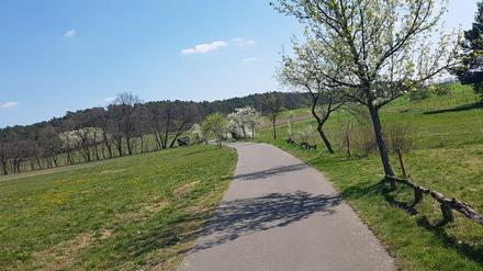 So gut wie am Fläming-Skate sind Radwege nicht immer in Brandenburg