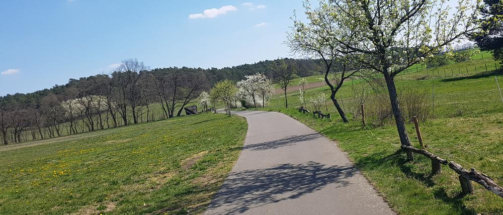 So gut wie am Fläming-Skate sind Radwege nicht immer in Brandenburg