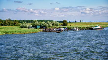 Zingster Strom am Hafen Zingst, Fischland-Darß, Mecklenburg-Vorpommern, Deutschland