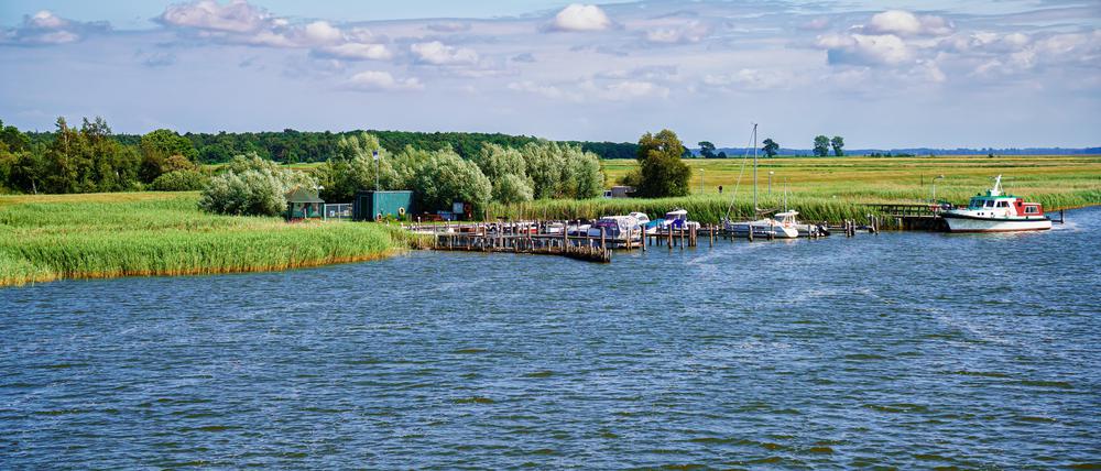 Zingster Strom am Hafen Zingst, Fischland-Darß, Mecklenburg-Vorpommern, Deutschland