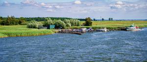 Zingster Strom am Hafen Zingst, Fischland-Darß, Mecklenburg-Vorpommern, Deutschland