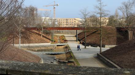 Der Volkspark im Bornstedter Feld. 